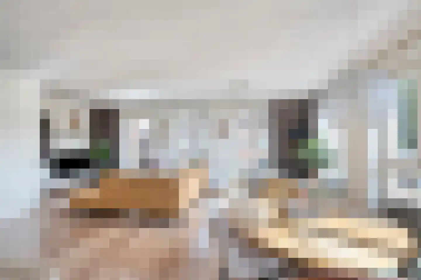 Lange Hegghe 12 Schijndel thumbnail 11