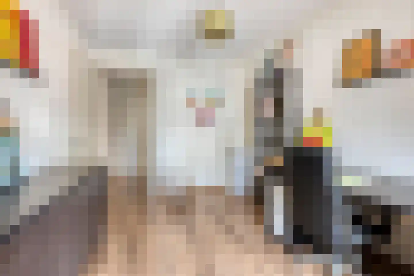 Lange Hegghe 12 Schijndel thumbnail 16