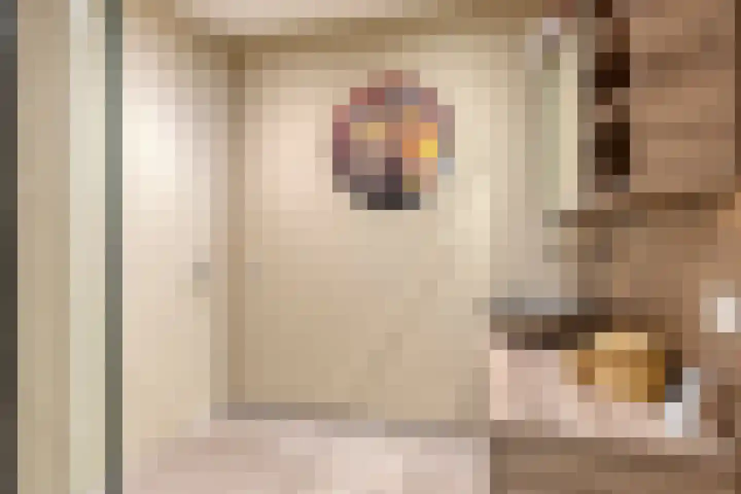 Lange Hegghe 12 Schijndel thumbnail 22