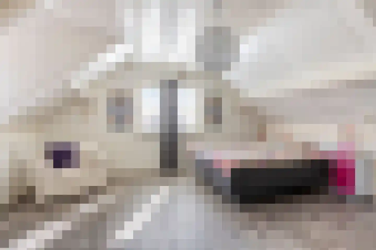 Lange Hegghe 12 Schijndel thumbnail 25