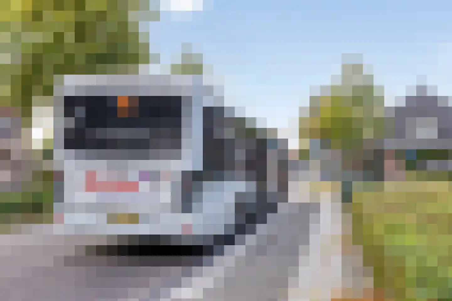 Lange Hegghe 12 Schijndel thumbnail 34