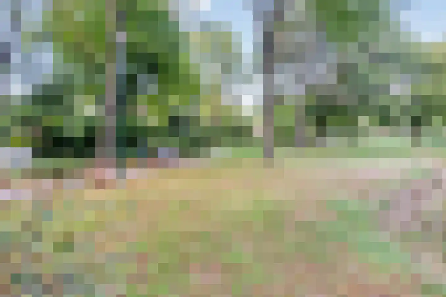 Lange Hegghe 12 Schijndel thumbnail 36