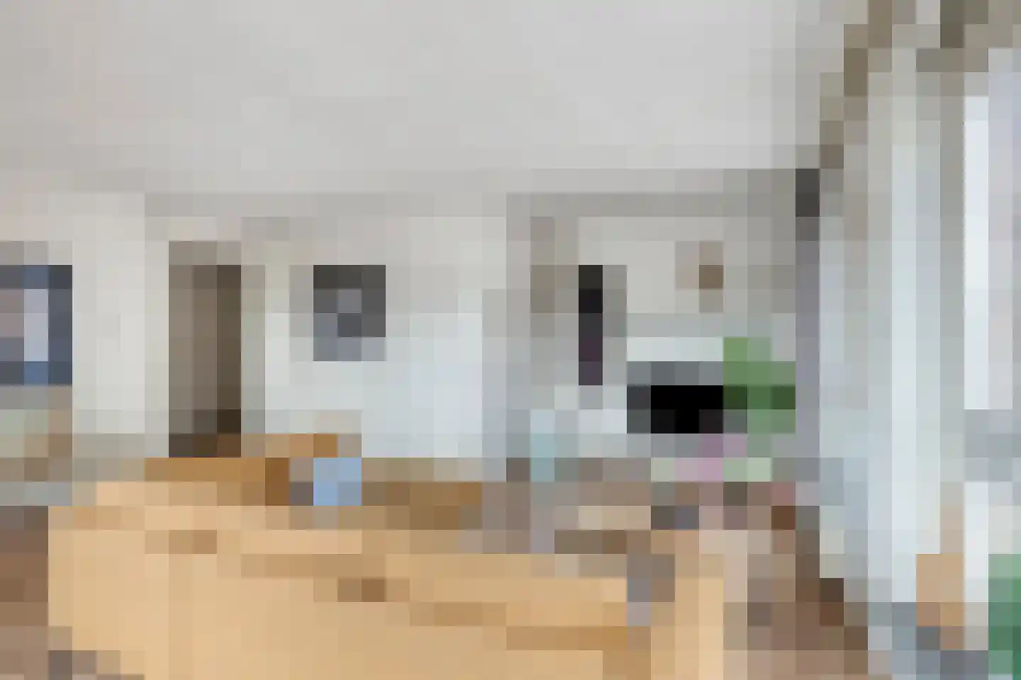 Lange Hegghe 12 Schijndel thumbnail 7