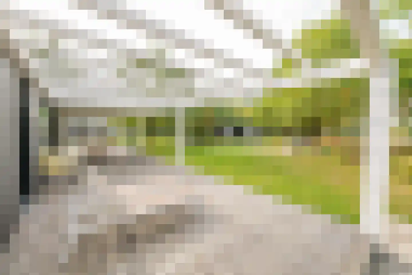 Lange Heide 9 B 1201 Maasbree thumbnail 10