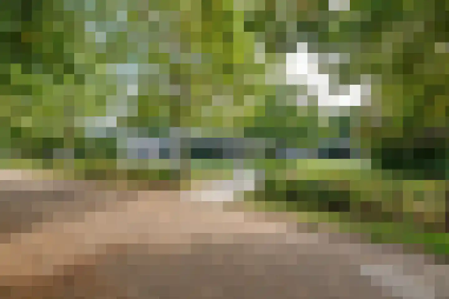 Lange Heide 9 B 1201 Maasbree thumbnail 9