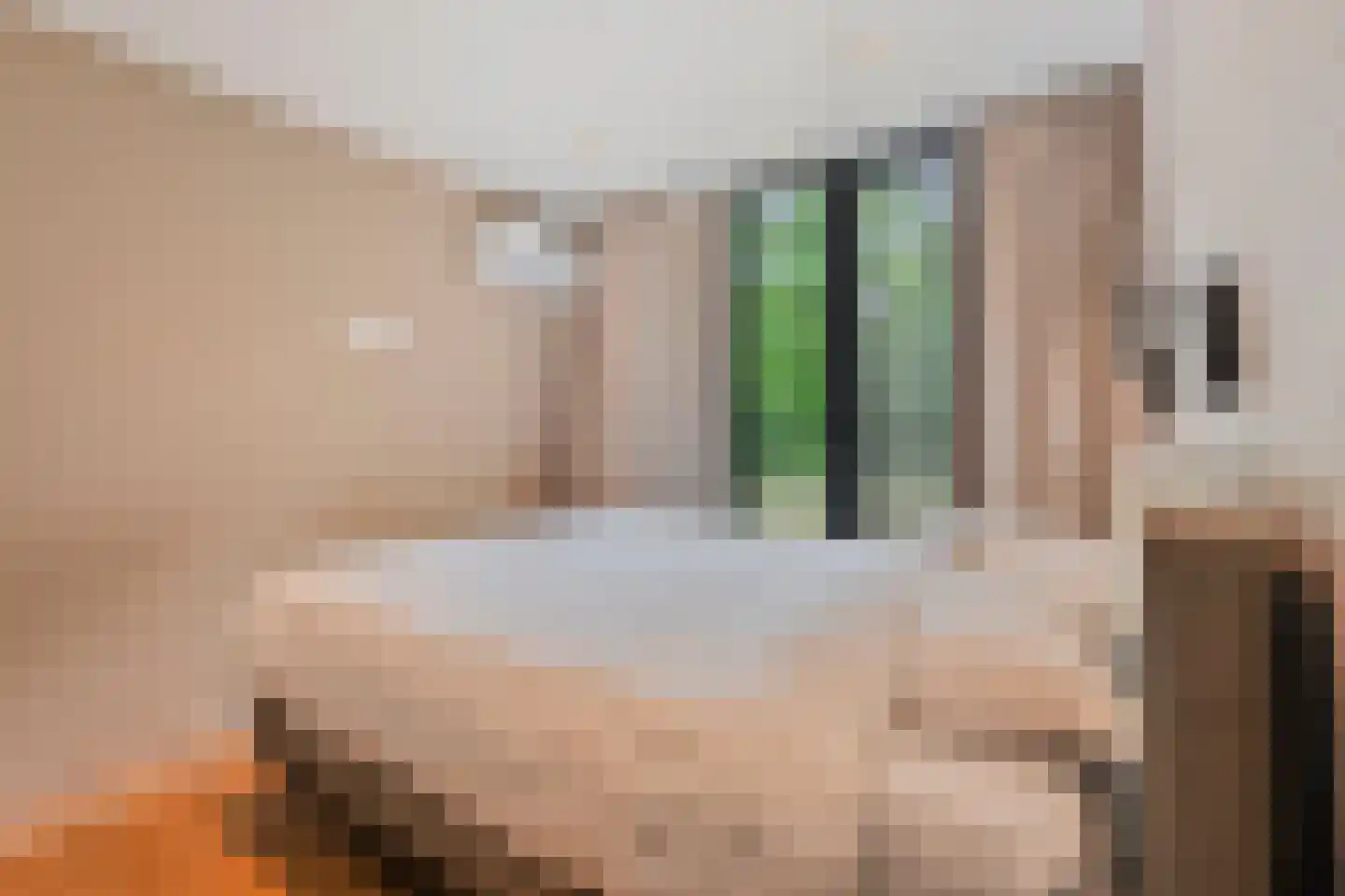 Lange Heide 9 B 357 Maasbree thumbnail 15