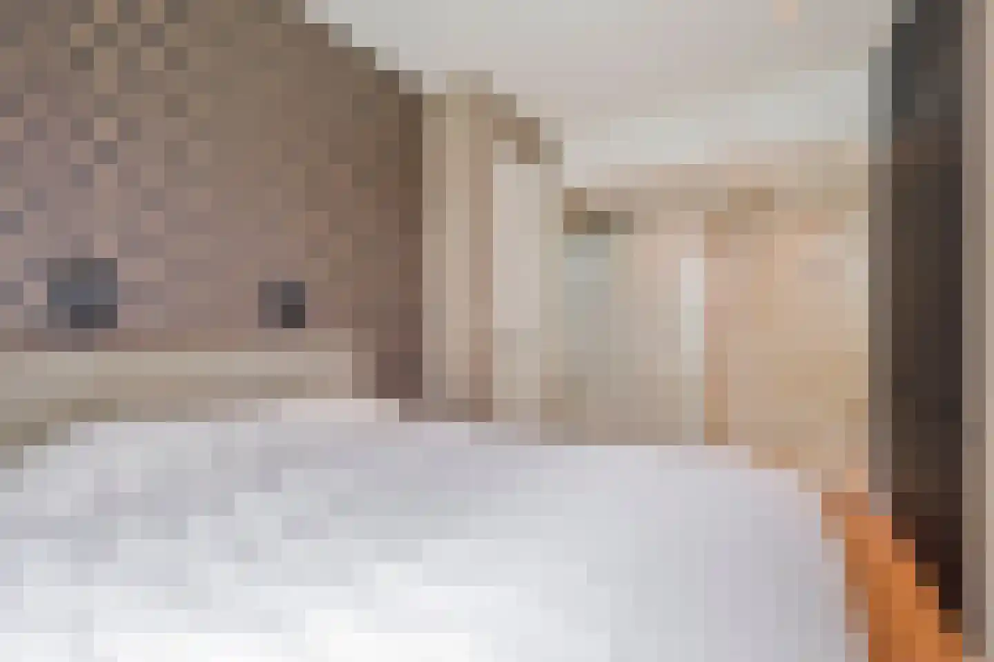 Lange Heide 9 B 357 Maasbree thumbnail 22