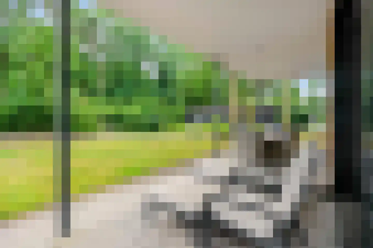 Lange Heide 9 B 357 Maasbree thumbnail 29