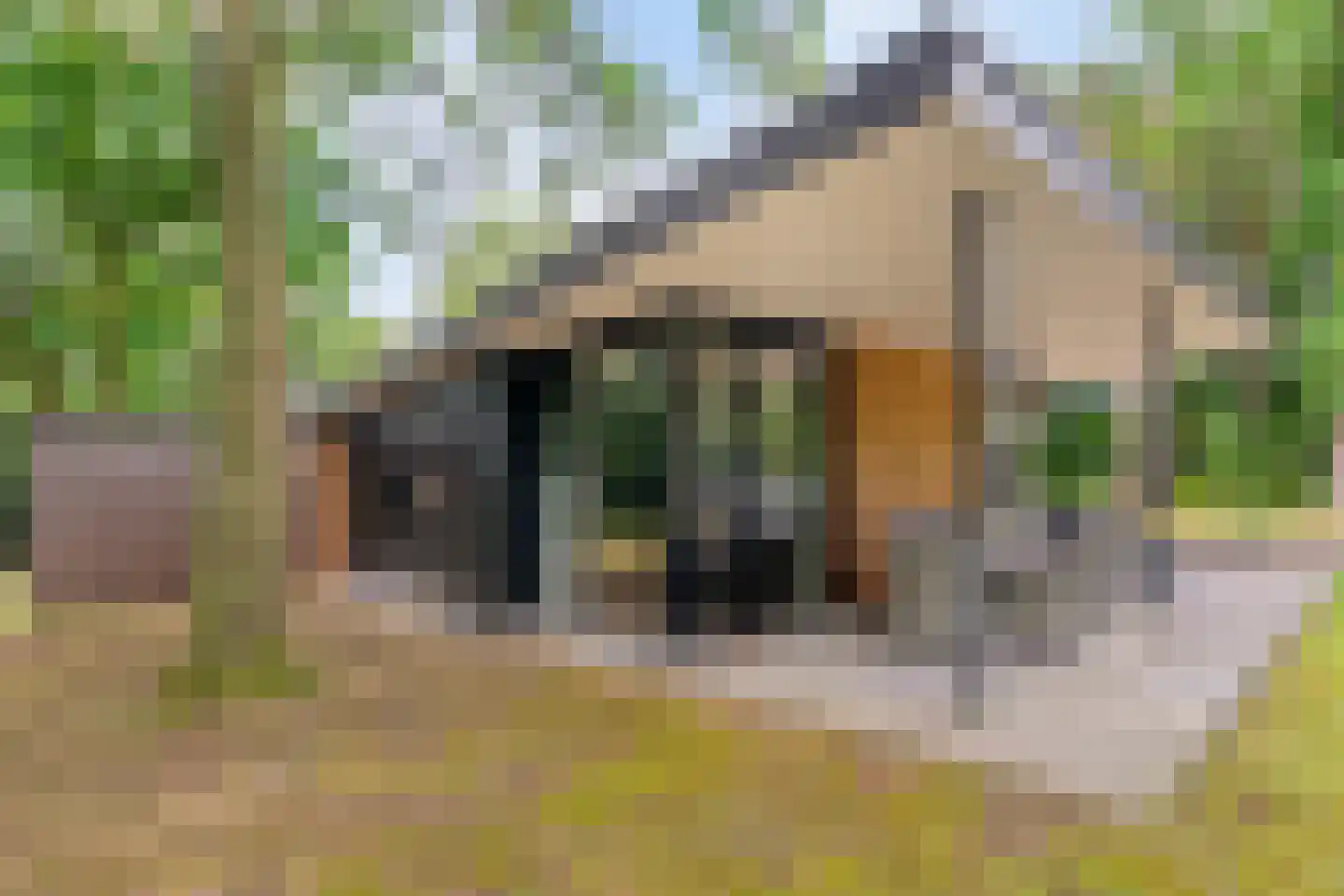 Lange Heide 9 B 357 Maasbree thumbnail 30
