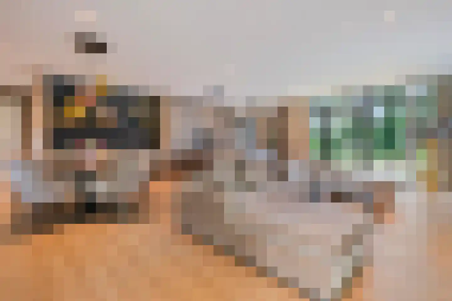 Lange Heide 9 B 357 Maasbree thumbnail 5