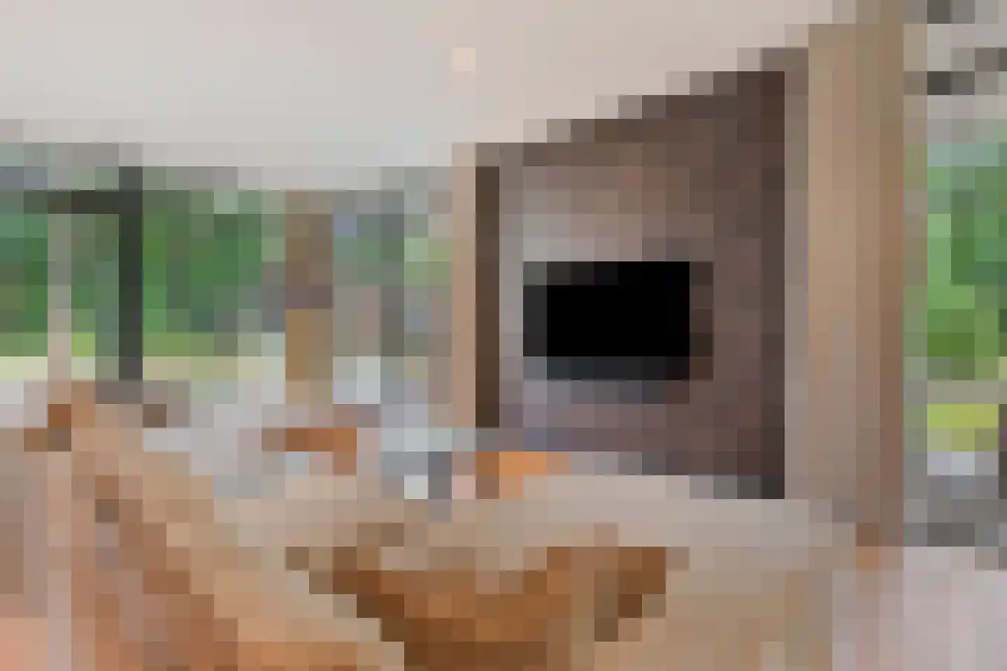 Lange Heide 9 B 357 Maasbree thumbnail 6