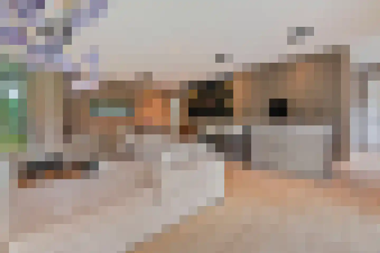 Lange Heide 9 B 357 Maasbree thumbnail 7
