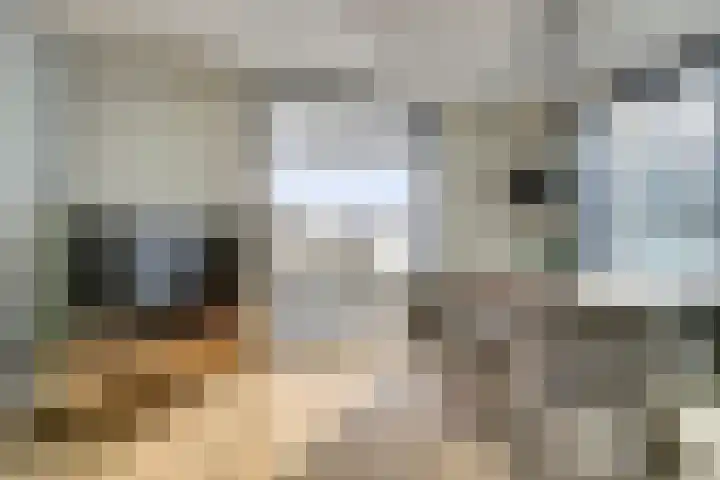 Lange Heide 9 B 503 Maasbree thumbnail 11
