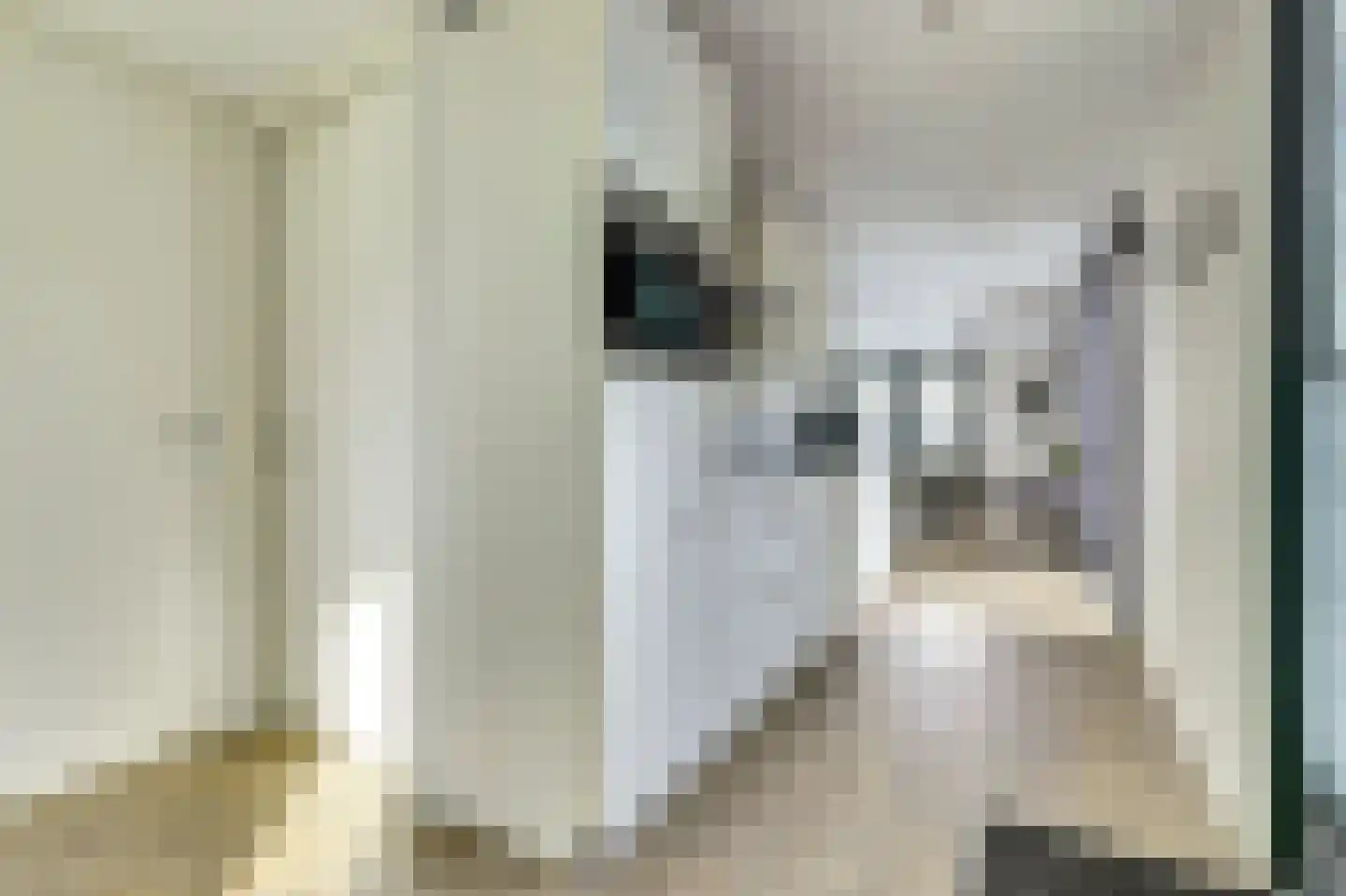 Lange Heide 9 B 503 Maasbree thumbnail 12