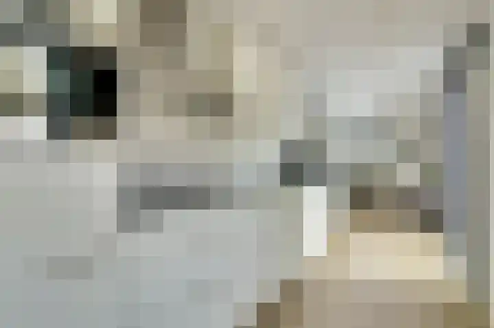 Lange Heide 9 B 503 Maasbree thumbnail 13
