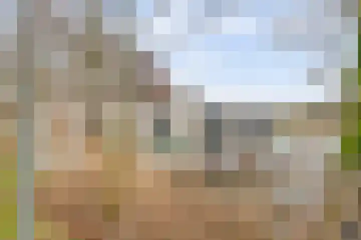 Lange Heide 9 B 503 Maasbree thumbnail 30