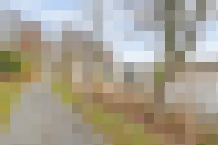 Lange Heide 9 B 503 Maasbree thumbnail 34