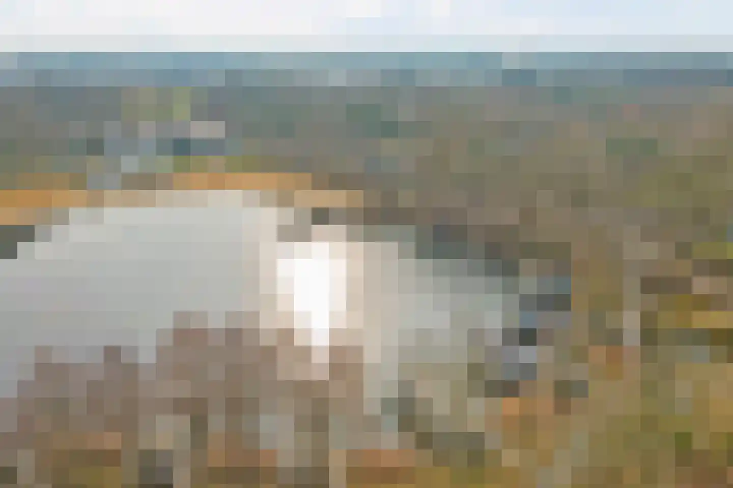 Lange Heide 9 B 503 Maasbree thumbnail 40