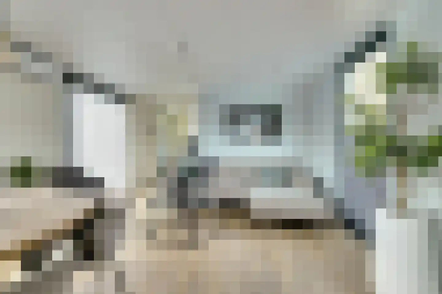Lange Heide 9 B 503 Maasbree thumbnail 5