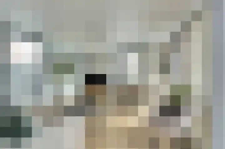 Lange Heide 9 B 503 Maasbree thumbnail 6