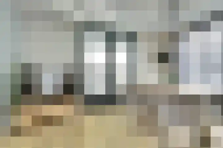 Lange Heide 9 B 503 Maasbree thumbnail 9