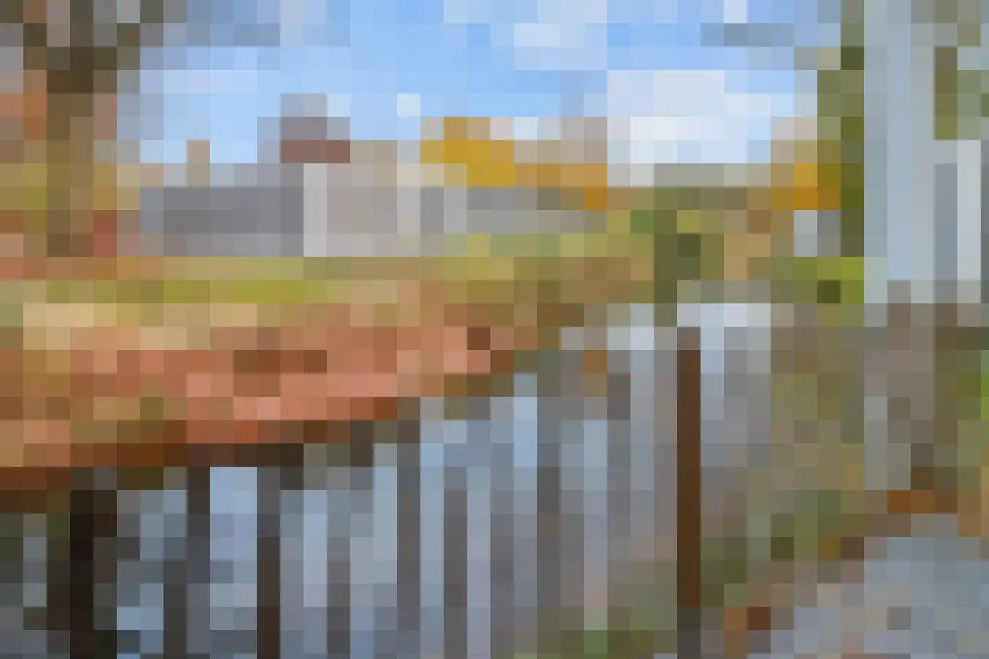 Lange Heide 9 B 629 Maasbree thumbnail 21