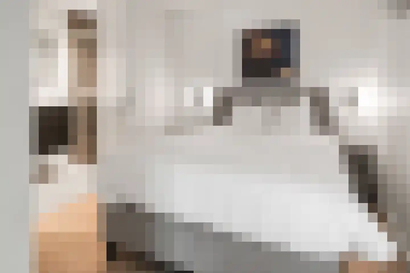 Lange Heide 9 B 629 Maasbree thumbnail 9