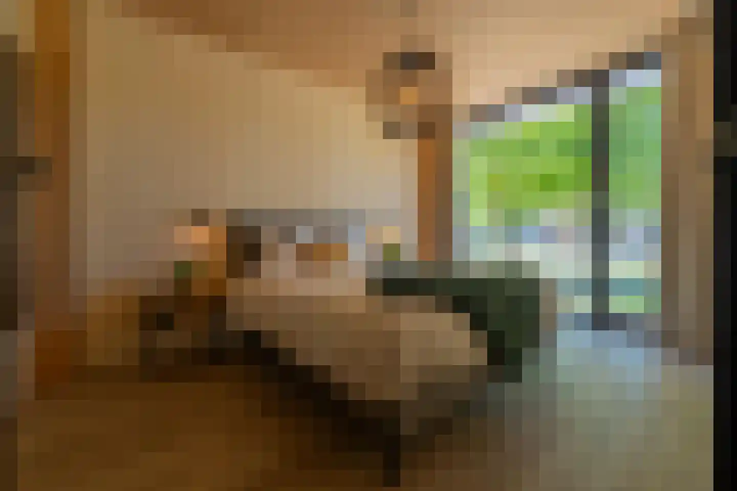 Lange Heide 9 B 707 Maasbree thumbnail 6