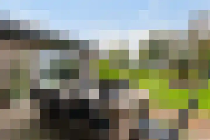 Lange Heideweg 19 Otterlo thumbnail 40