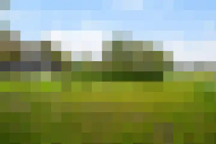 Lange Heideweg 19 Otterlo thumbnail 43