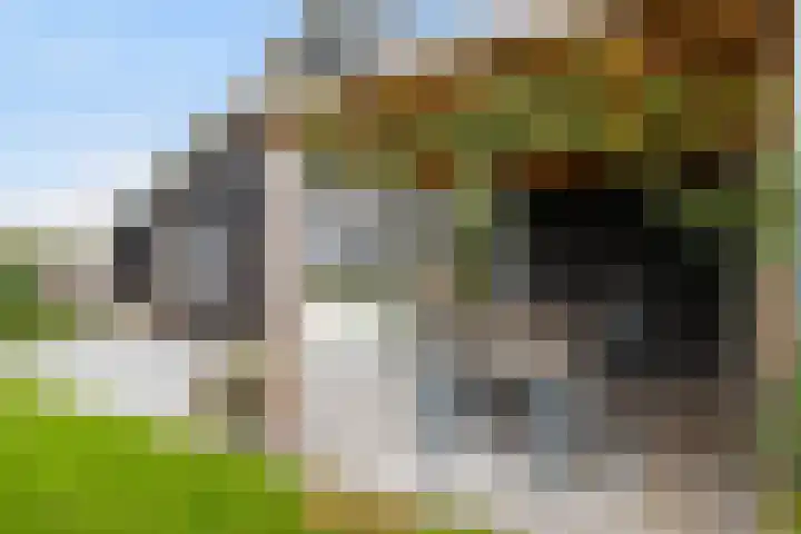 Lange Heideweg 19 Otterlo thumbnail 60