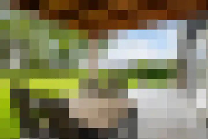 Lange Heideweg 19 Otterlo thumbnail 61