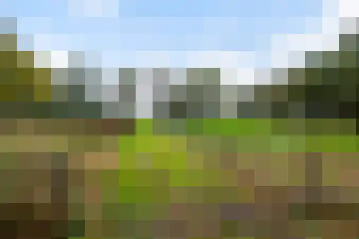 Lange Heideweg 19 Otterlo thumbnail 62
