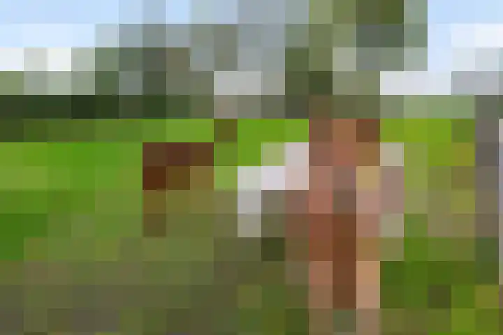 Lange Heideweg 19 Otterlo thumbnail 63