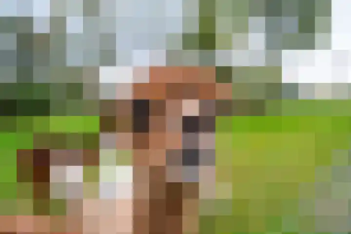 Lange Heideweg 19 Otterlo thumbnail 64