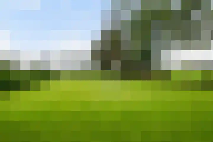 Lange Heideweg 19 Otterlo thumbnail 65