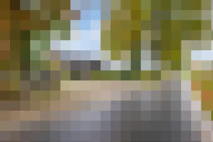 Lange Heideweg 19 Otterlo thumbnail 74