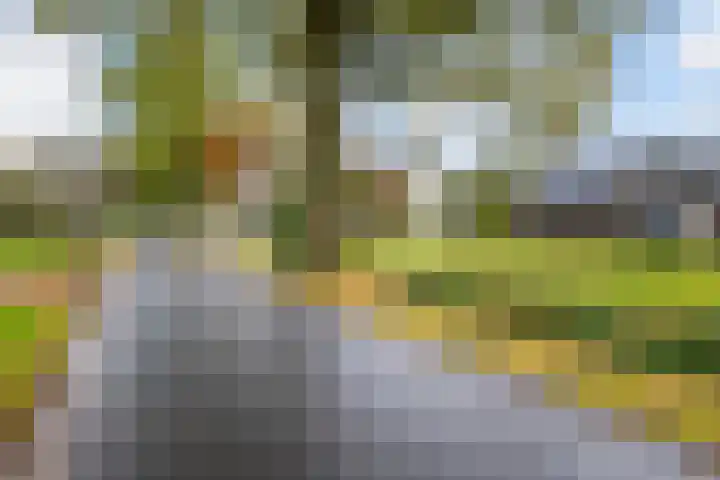 Lange Heideweg 19 Otterlo thumbnail 75