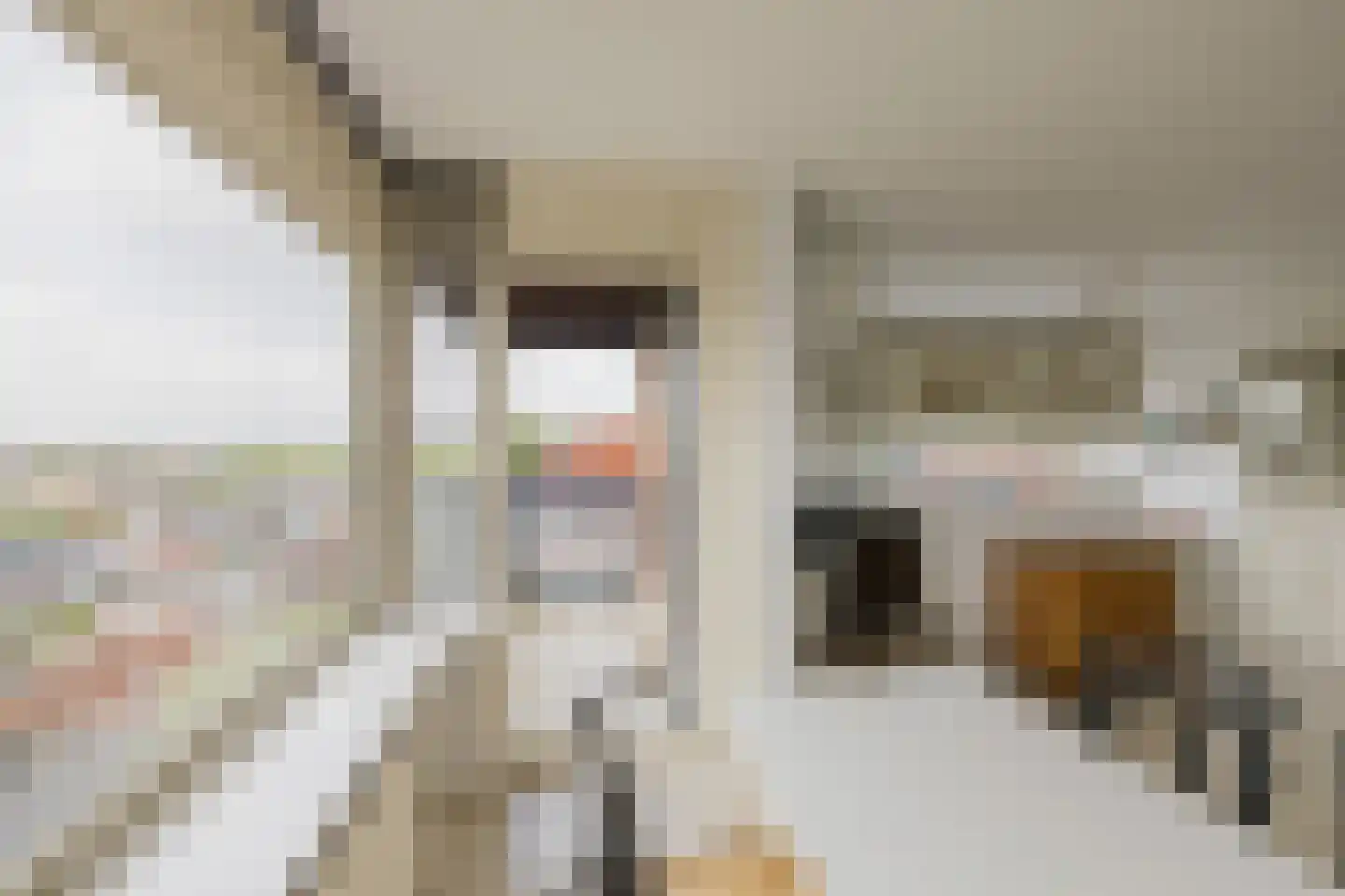 Lange Herenstraat 121 Haarlem thumbnail 11