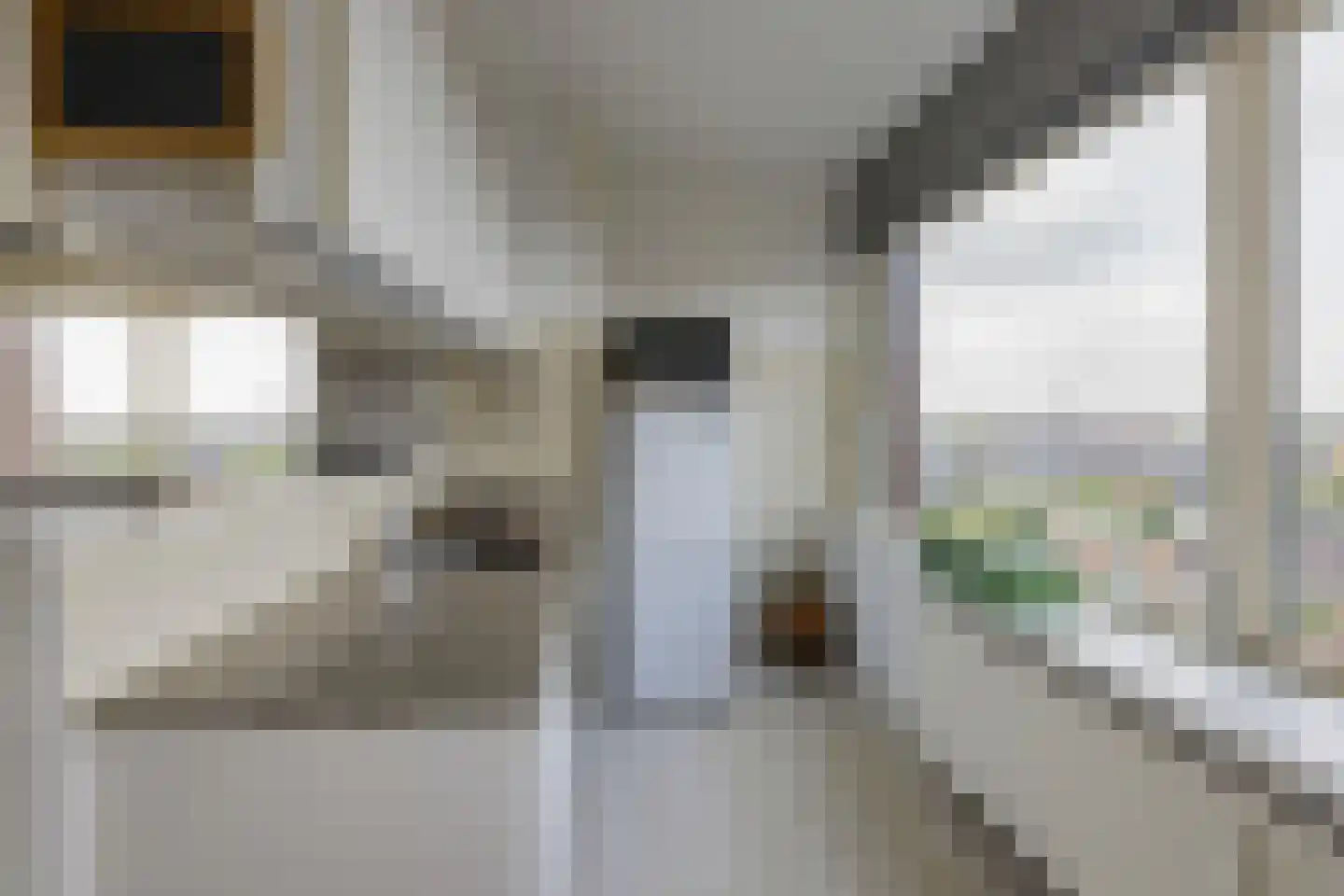 Lange Herenstraat 121 Haarlem thumbnail 9