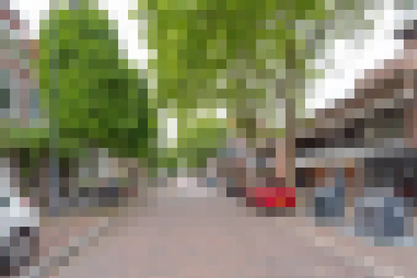 Lange Herenstraat 135 Haarlem thumbnail 16