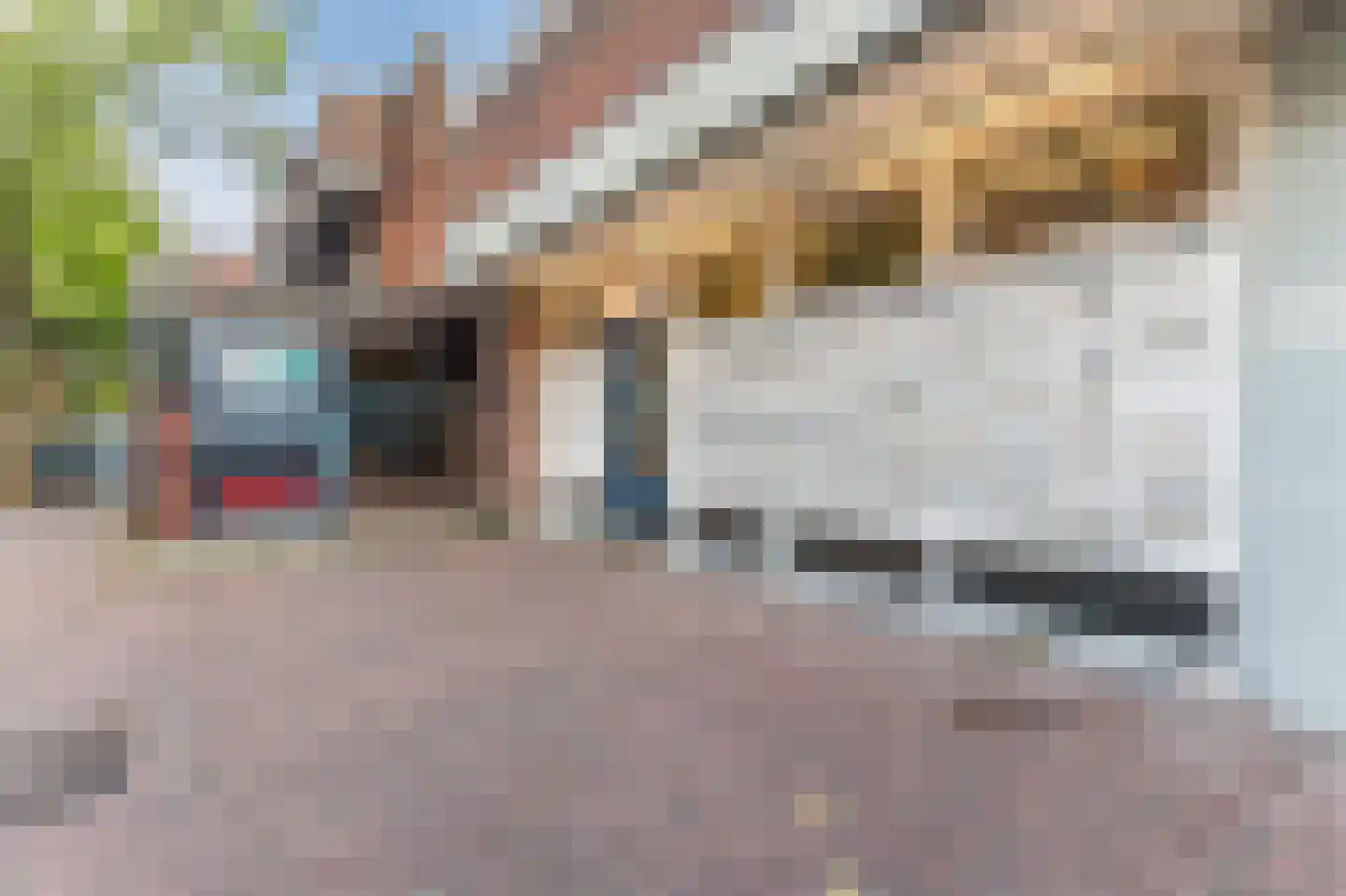 Lange Herenstraat 33 Haarlem thumbnail 24