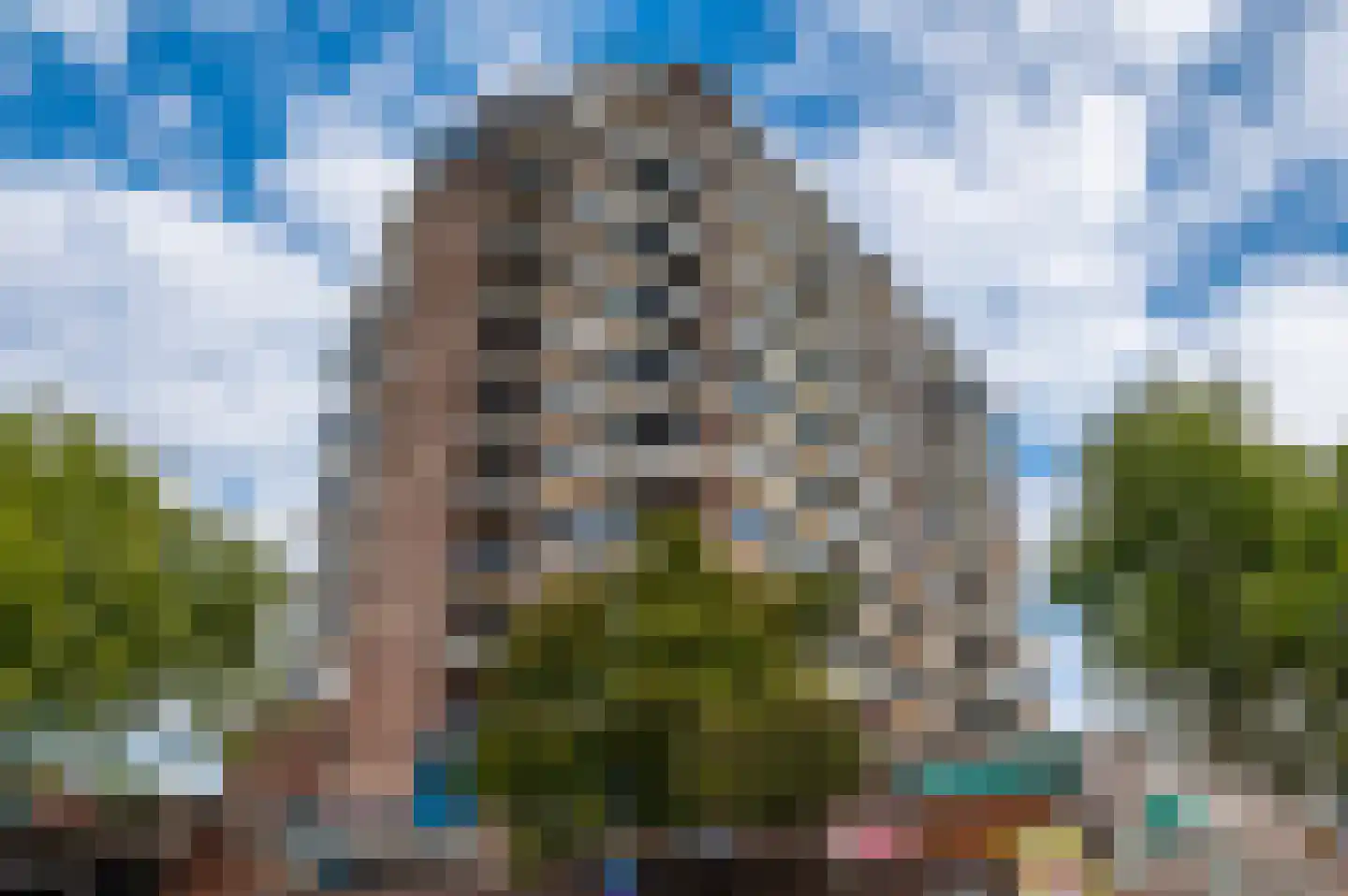Lange Herenstraat 73 Haarlem thumbnail 19