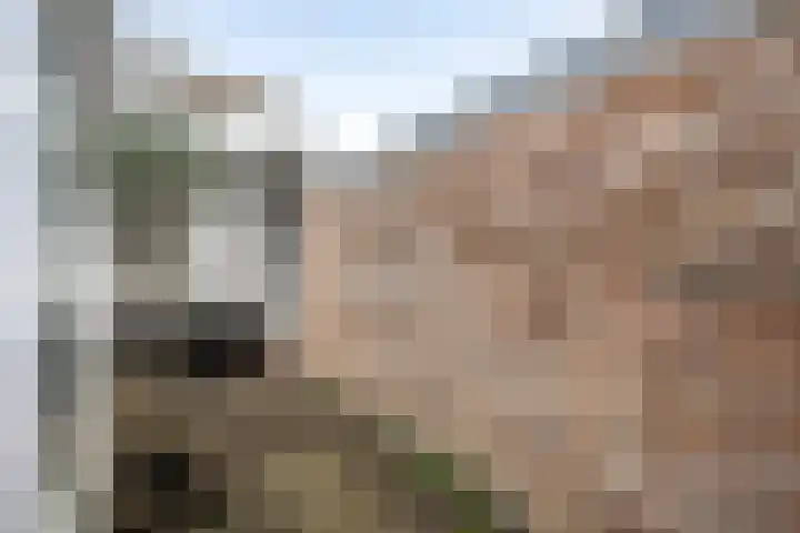 Lange Herenvest 102 A Haarlem thumbnail 11