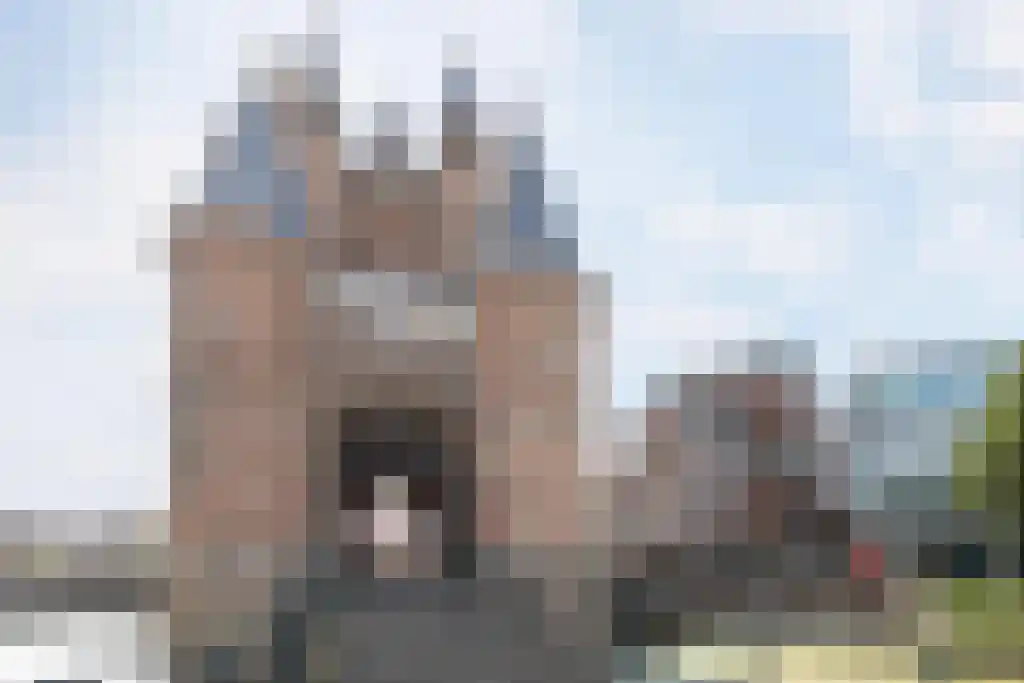 Lange Herenvest 104 C 2 Haarlem thumbnail 27