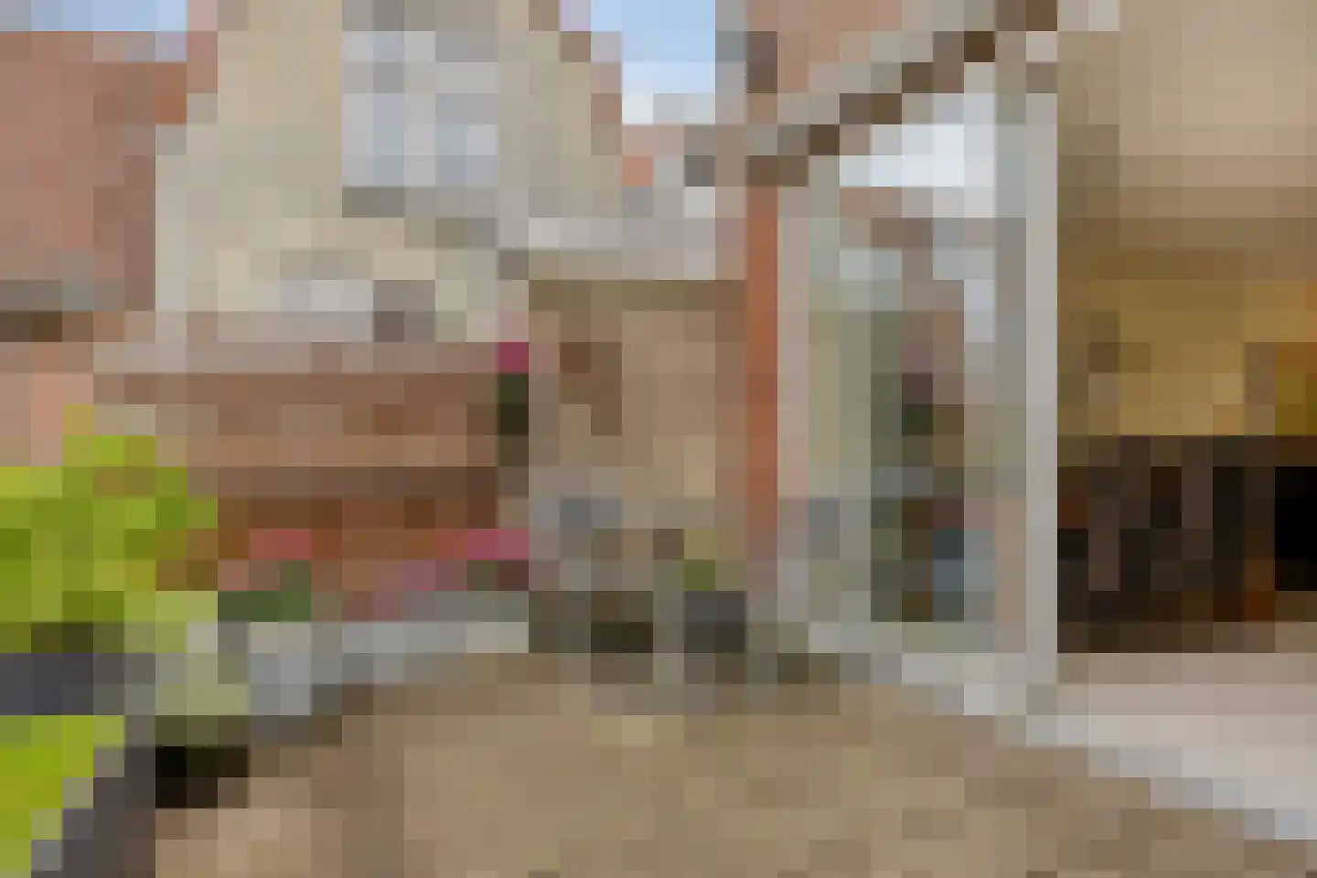 Lange Herenvest 110 RD Haarlem thumbnail 14