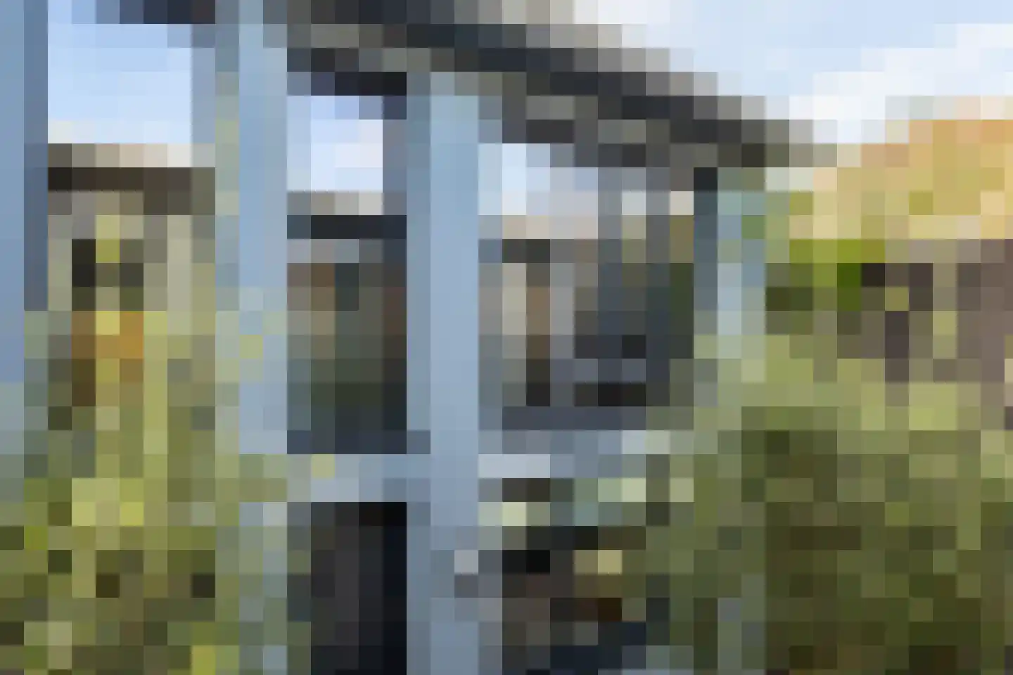 Lange Herenvest 128 D Haarlem thumbnail 15