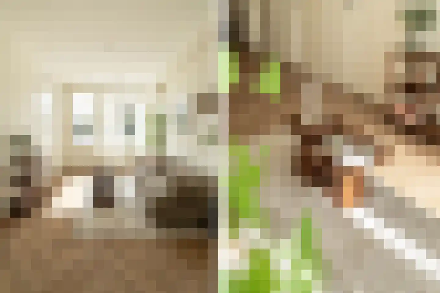 Lange Herenvest 8 ZW Haarlem thumbnail 11