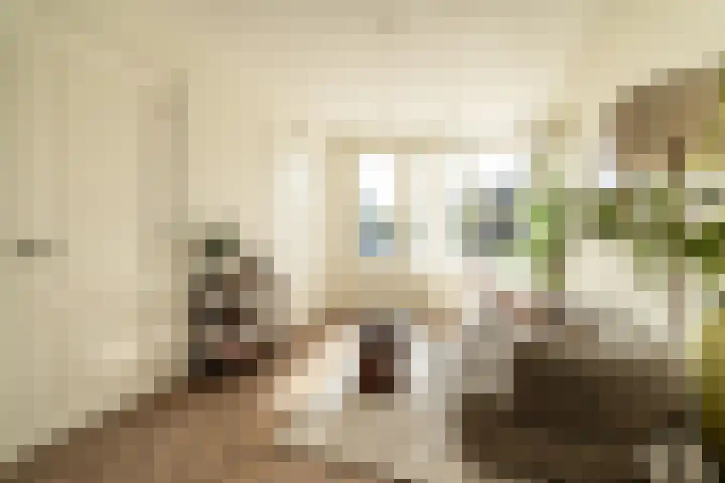 Lange Herenvest 8 ZW Haarlem thumbnail 13