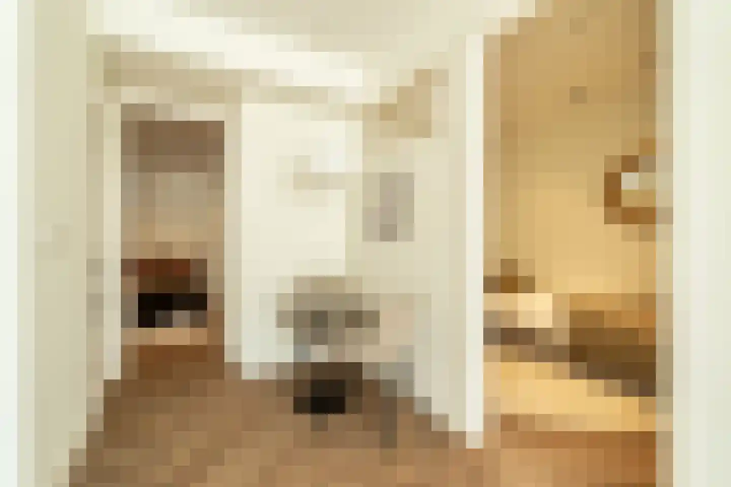 Lange Herenvest 8 ZW Haarlem thumbnail 20